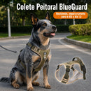Colete Peitoral Blue Guard: Proteção, conforto e controle para acompanhar toda a energia do seu Heeler. 🛡️🔥