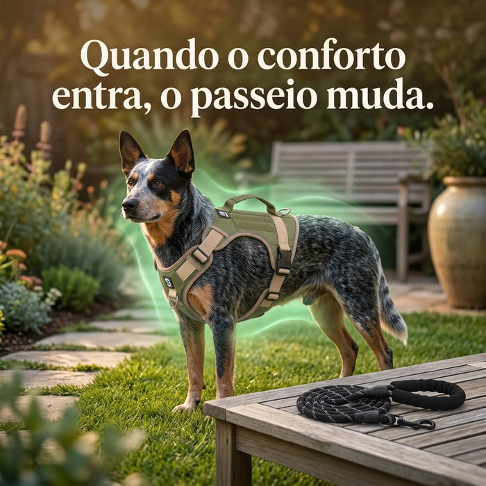 Blue Heeler usando Colete Blue Guard confortável