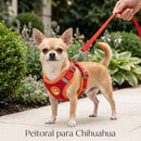 Colete Peitoral Soft Guard - Proteção e bem-estar para Chihuahuas