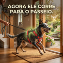 Colete Peitoral Blue Guard: Proteção, conforto e controle para acompanhar toda a energia do seu Heeler. 🛡️🔥
