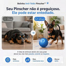 Bolinha Anti-Tédio dos Pinshcers