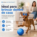 Bolinha Anti-Tédio dos Pinshcers