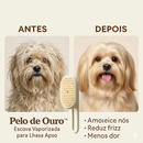 Escova vaporizada para lhasa apso - Para pelos macios e brilhantes no dia a dia 🐶🔥