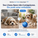 Bolinha Elétrica Interativa para Lhasa Apso
