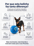Bolinha Anti-Tédio dos Pinshcers