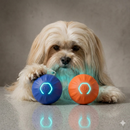 Bolinha Elétrica Interativa para Lhasa Apso