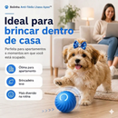 Bolinha Elétrica Interativa para Lhasa Apso