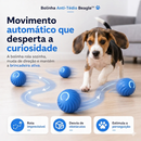 Bolinha Elétrica Anti-tédio dos Beagles