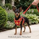 Colete Peitoral Soft Guard - Proteção e bem-estar para pinscher