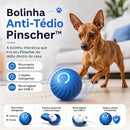 Bolinha Anti-Tédio dos Pinshcers