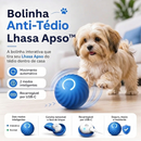 Bolinha Elétrica Interativa para Lhasa Apso