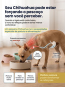 Comedouro para Chihuahuas - alimentação limpa e confortável