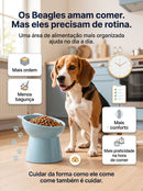 🔥 Comedouro Fit Beagles - Combo 3 em 1 🔥