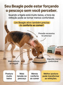 🔥 Comedouro Fit Beagles - Combo 3 em 1 🔥