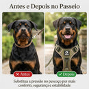 Colete Peitoral Rott Vantage - Mais conforto e segurança nos passeios