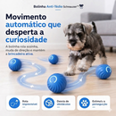 Bolinha Anti-Tédio dos Schnauzers