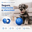 Bolinha Anti-Tédio dos Schnauzers