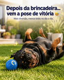 Bolina Elétrica Para Rottweiler