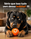 Bolina Elétrica Para Rottweiler