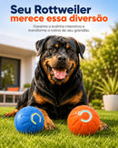 Bolina Elétrica Para Rottweiler