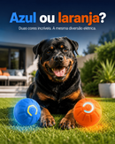 Bolina Elétrica Para Rottweiler