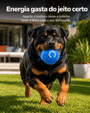 Bolina Elétrica Para Rottweiler