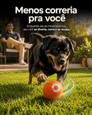 Bolina Elétrica Para Rottweiler