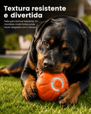 Bolina Elétrica Para Rottweiler