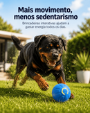 Bolina Elétrica Para Rottweiler
