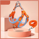 Colete Adventure Comfort - Para Beagles ativos, curiosos e cheios de energia.