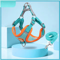 Colete Adventure Comfort - Para Beagles ativos, curiosos e cheios de energia.