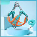 Colete Adventure Comfort - Para Beagles ativos, curiosos e cheios de energia.