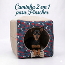 Cama 3 em 1 para pinscher