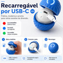 Bolinha Elétrica Anti-tédio dos Beagles