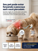 Comedouro para Lhasa Apso - alimentação limpa e confortável