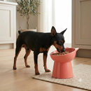 Comedouro para Pinscher - alimentação limpa e confortável