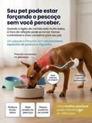 Comedouro para Pinscher - alimentação limpa e confortável